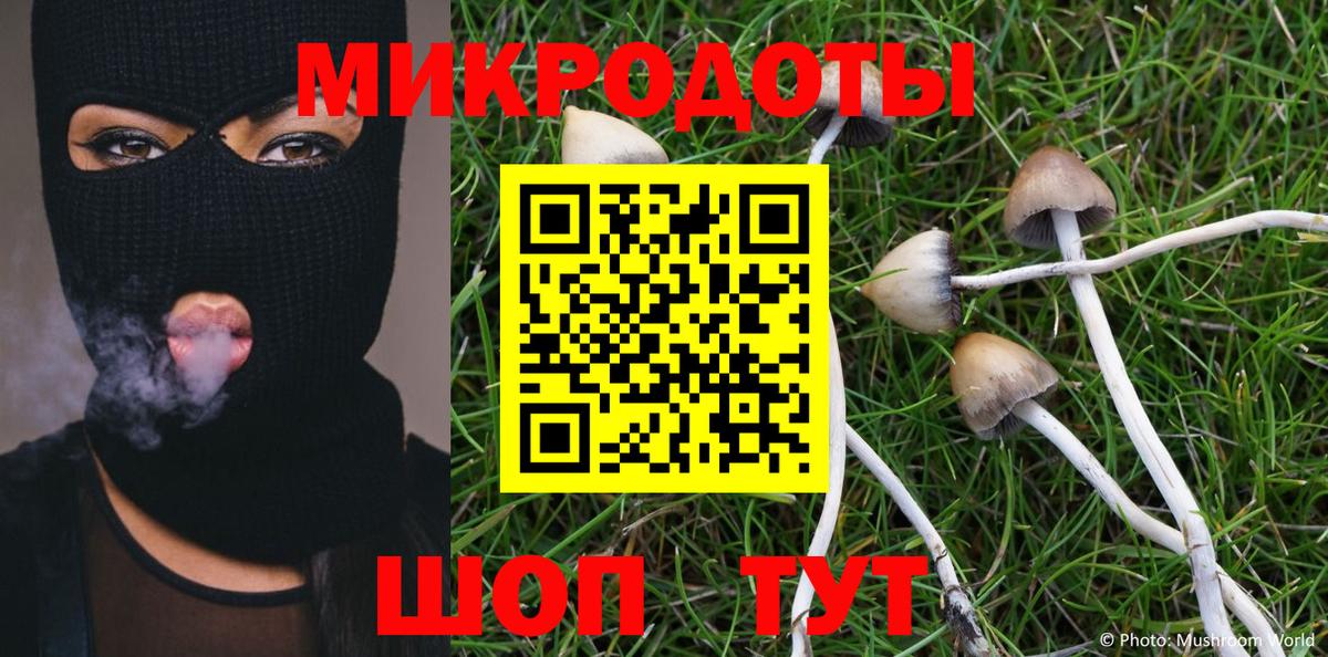 купить наркотики цена  Псилоцибиновые грибы ЛСД  Вход с VPN  Галлюциногенные грибы мицелий  Комсомольск-на-Амуре 