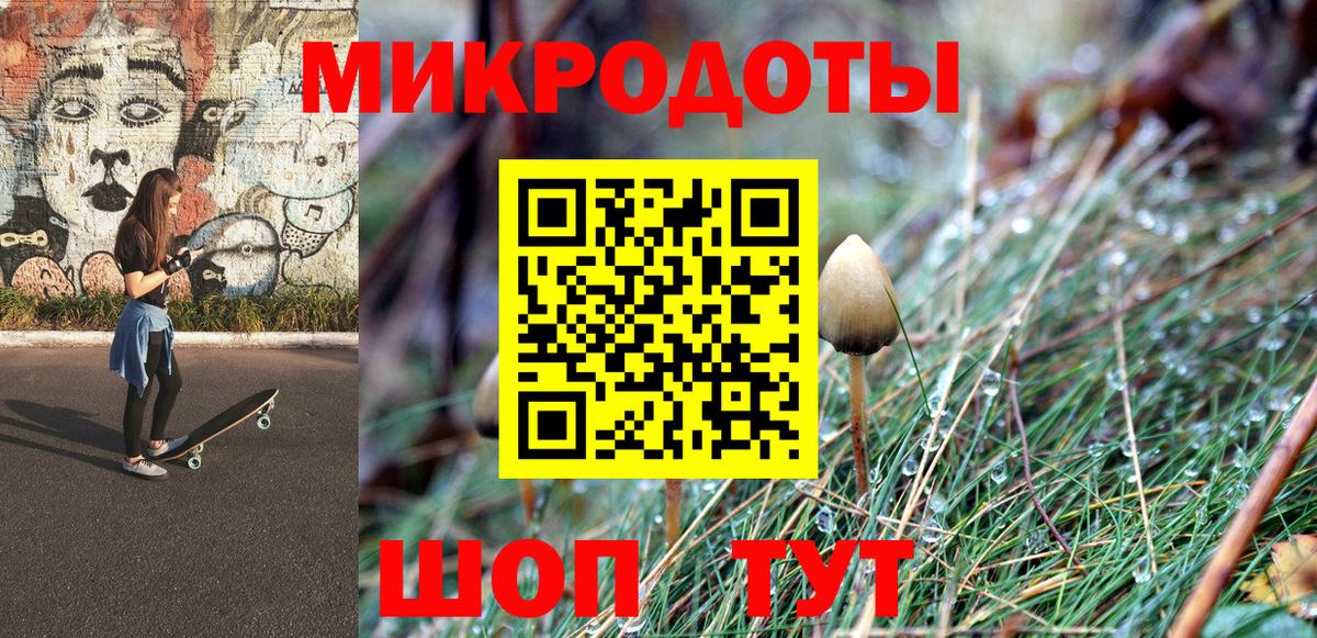 Псилоцибиновые грибы Psilocybine cubensis Комсомольск-на-Амуре